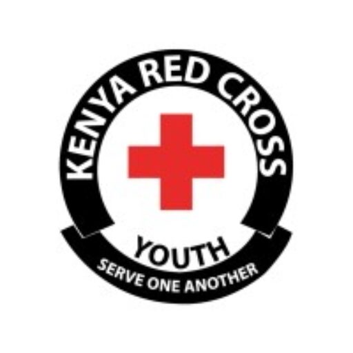 demo.youth.redcross.ke